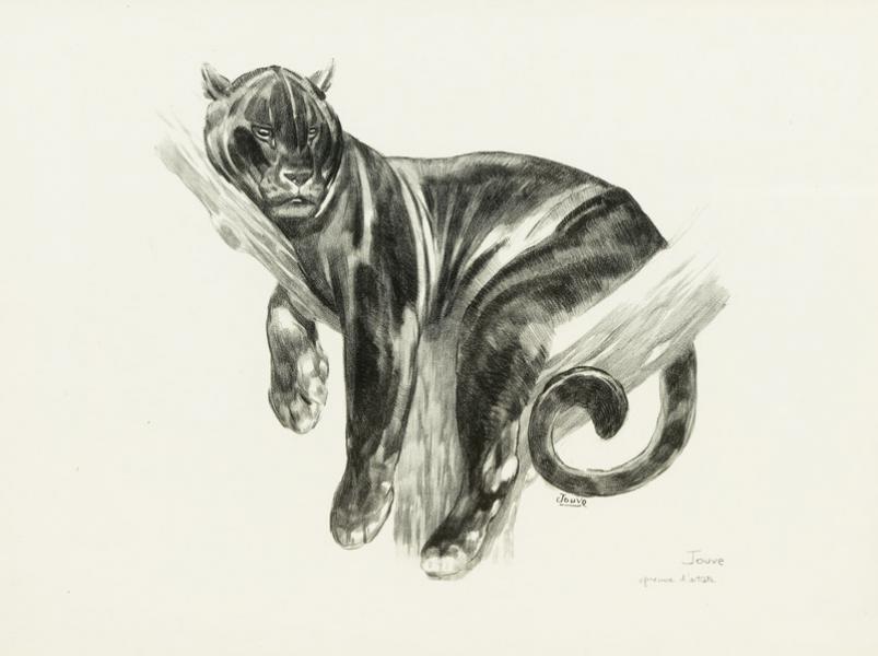 Panthère branchée, 1938